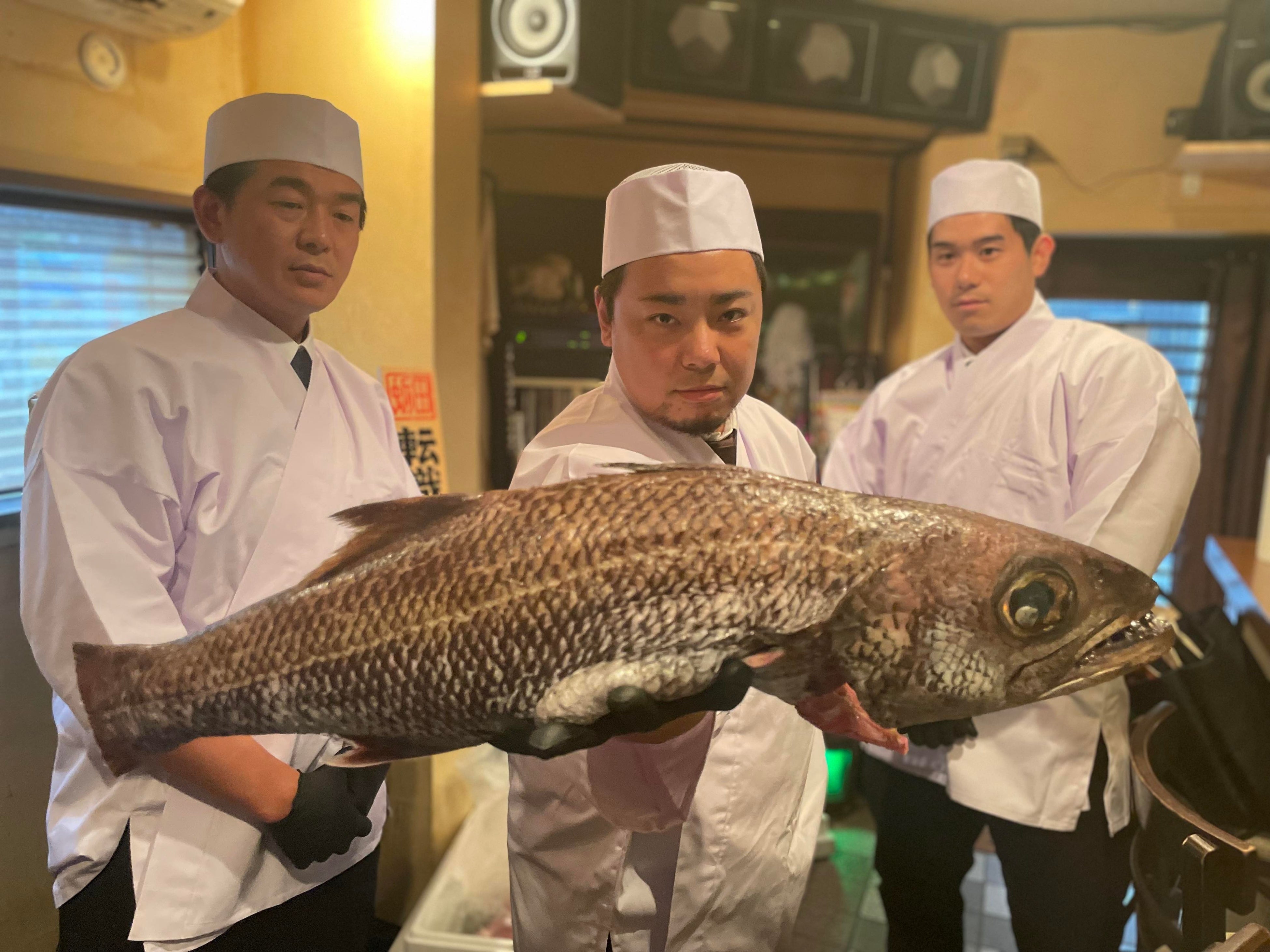 本日の目玉食材はクロムツ