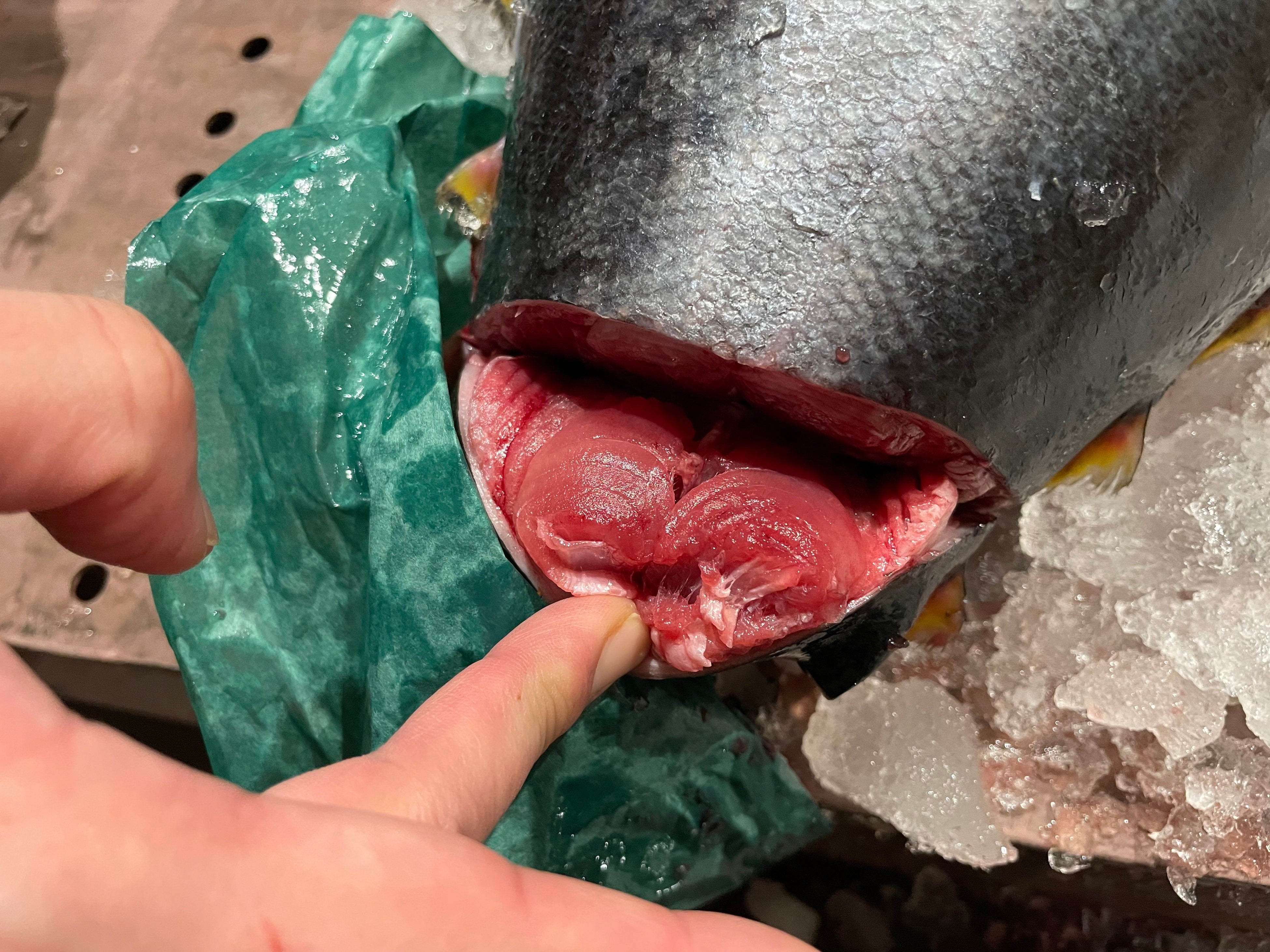 素人目からも鮮度の良さが分かる鮮やかな赤