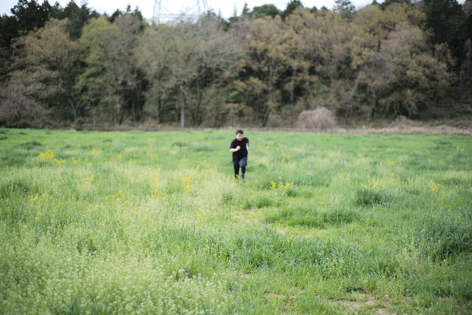 牛の気持ちになってみる