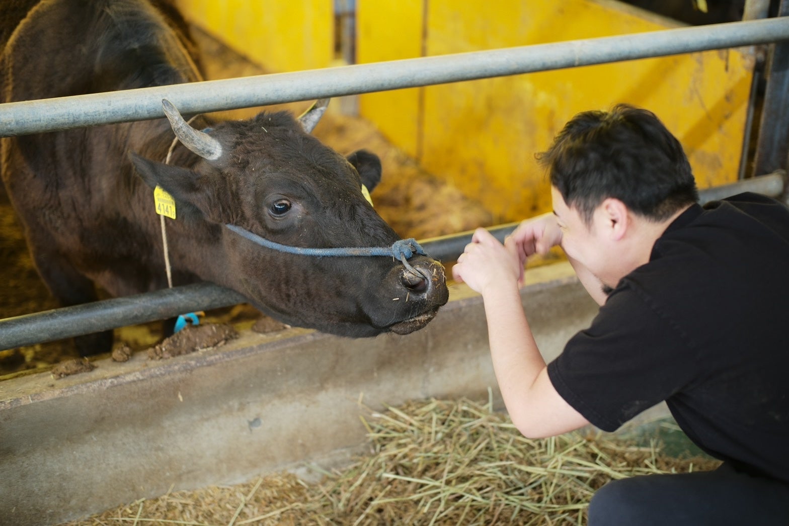 色々な動きをして親睦を深めようとする大将
