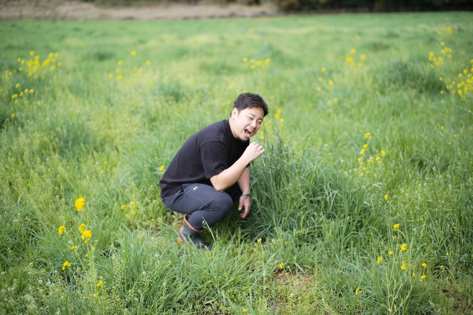 再び牛の気持ちになってみる