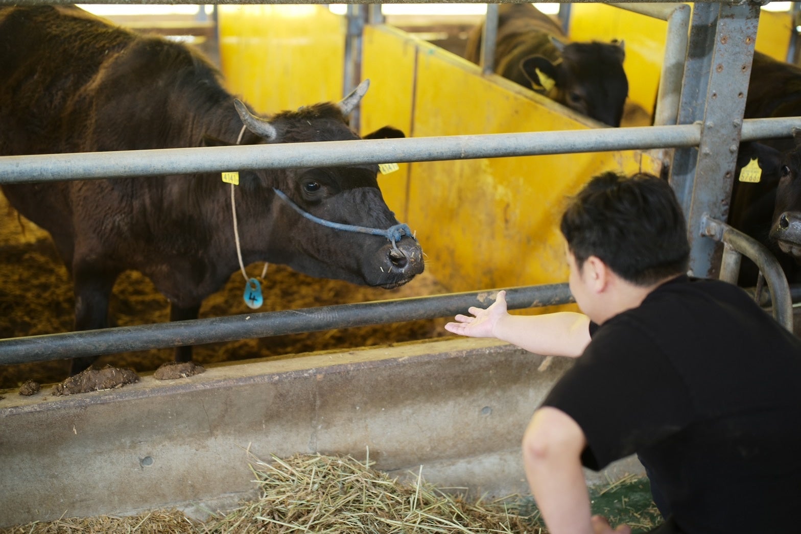 初対面で緊張するみなみ