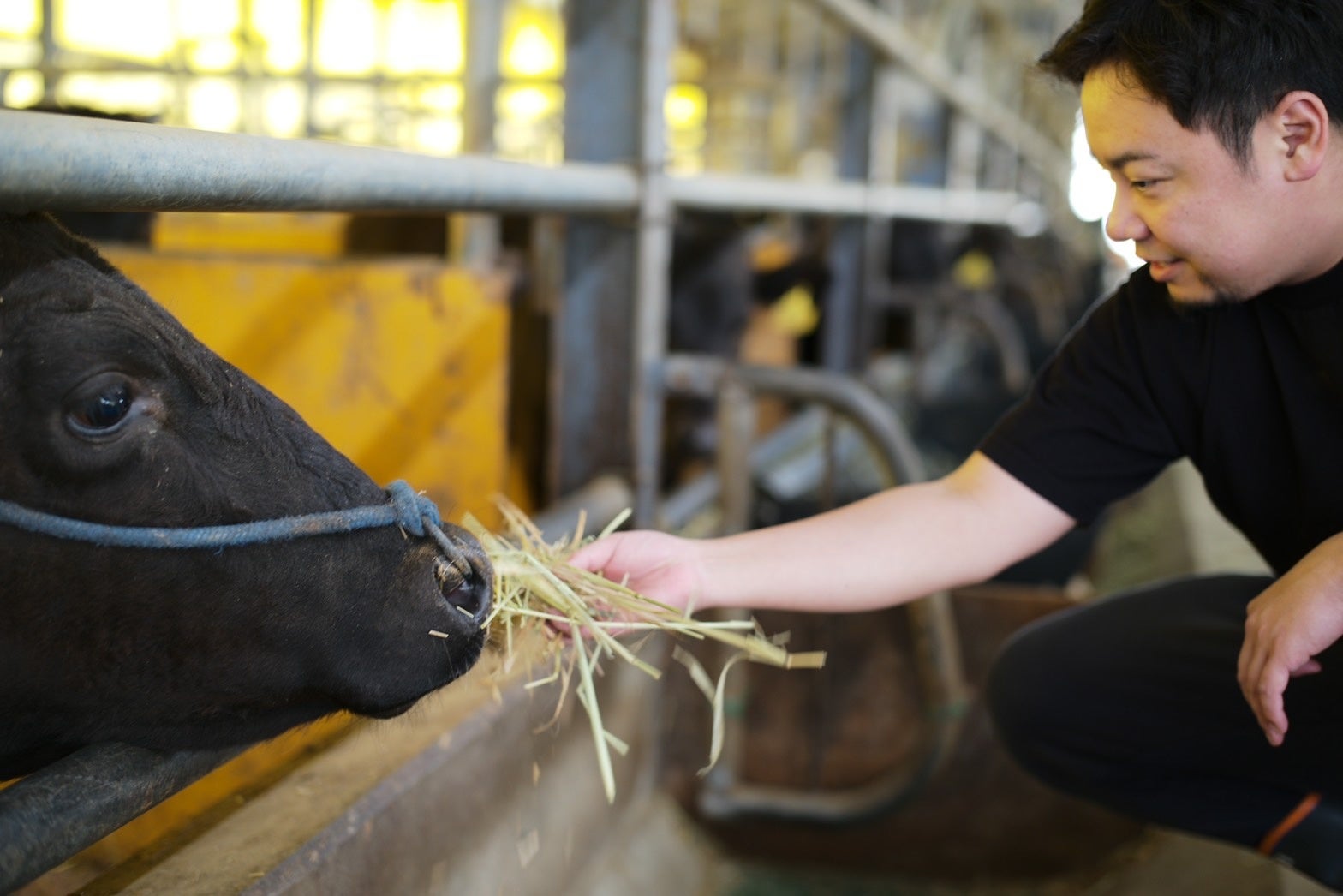 餌付けをする大将