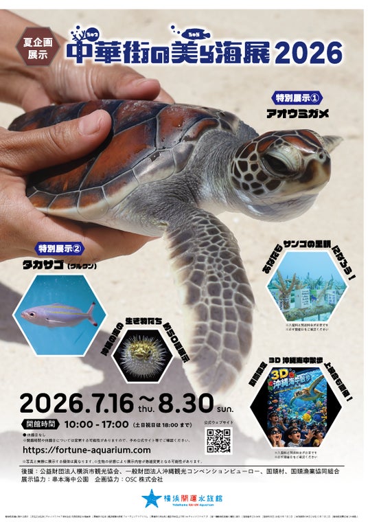 毎夏恒例の企画展『中華街の美ら海展2026』を開催 毎夏恒例の企画展『中華街の美ら海展2026』を開催