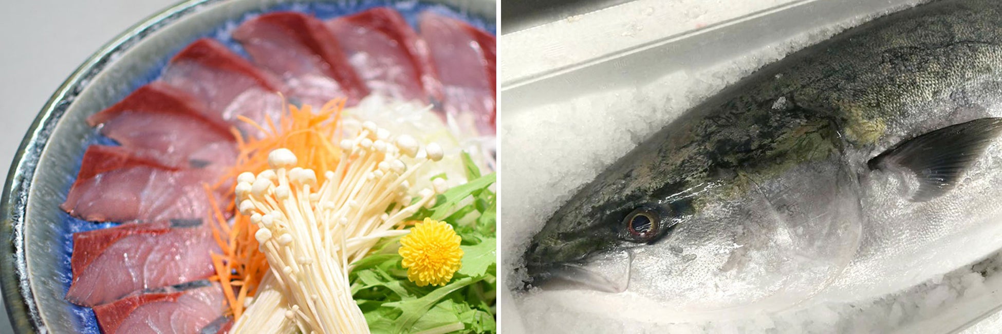 ホテルヴィスキオ富山 とやま鮨 海富山 1泊2食付きプレミアム宿泊プラン ぶりしゃぶコース の販売について Jr西日本ホテルズのプレスリリース ホテルヴィスキオ富山 とやま鮨 海富山 1泊2食付きプレミアム宿泊プラン ぶりしゃぶコース の販売について Jr西日本ホテルズのプレスリリース