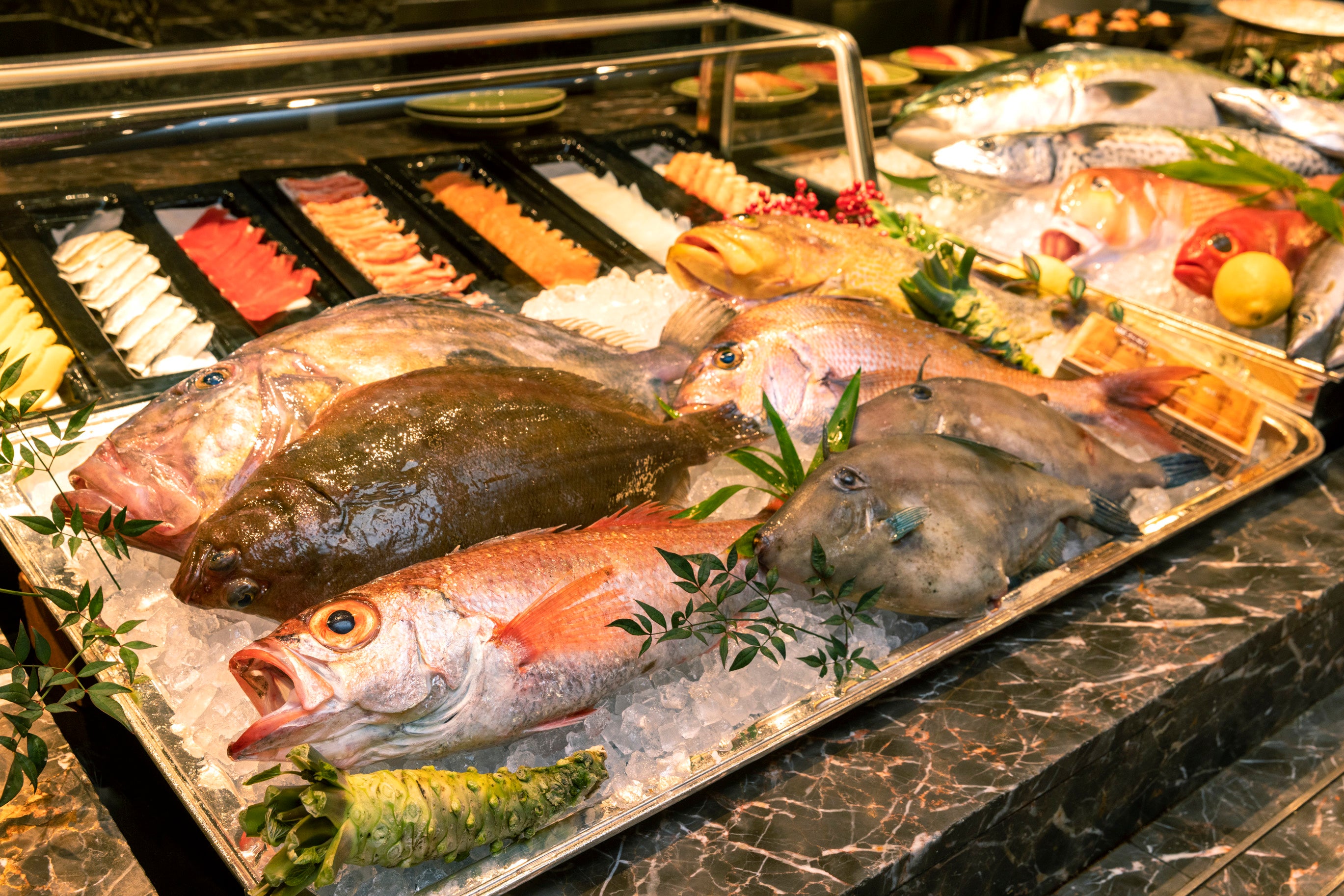 ※漁港から直送で届く魚イメージ