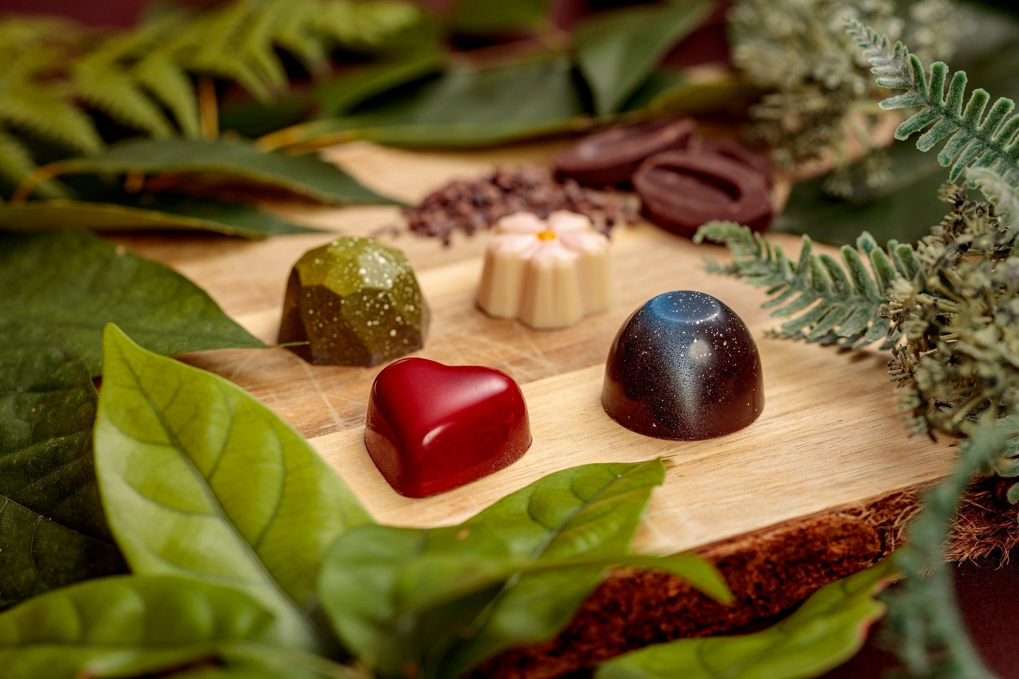 「極（kiwami）ショコラ・ド・ボア」イメージ