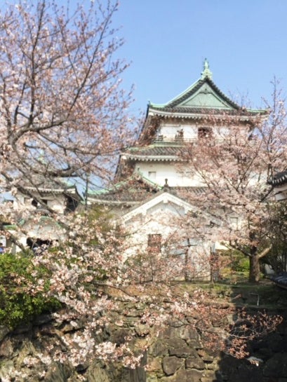 和歌山城　桜イメージ
