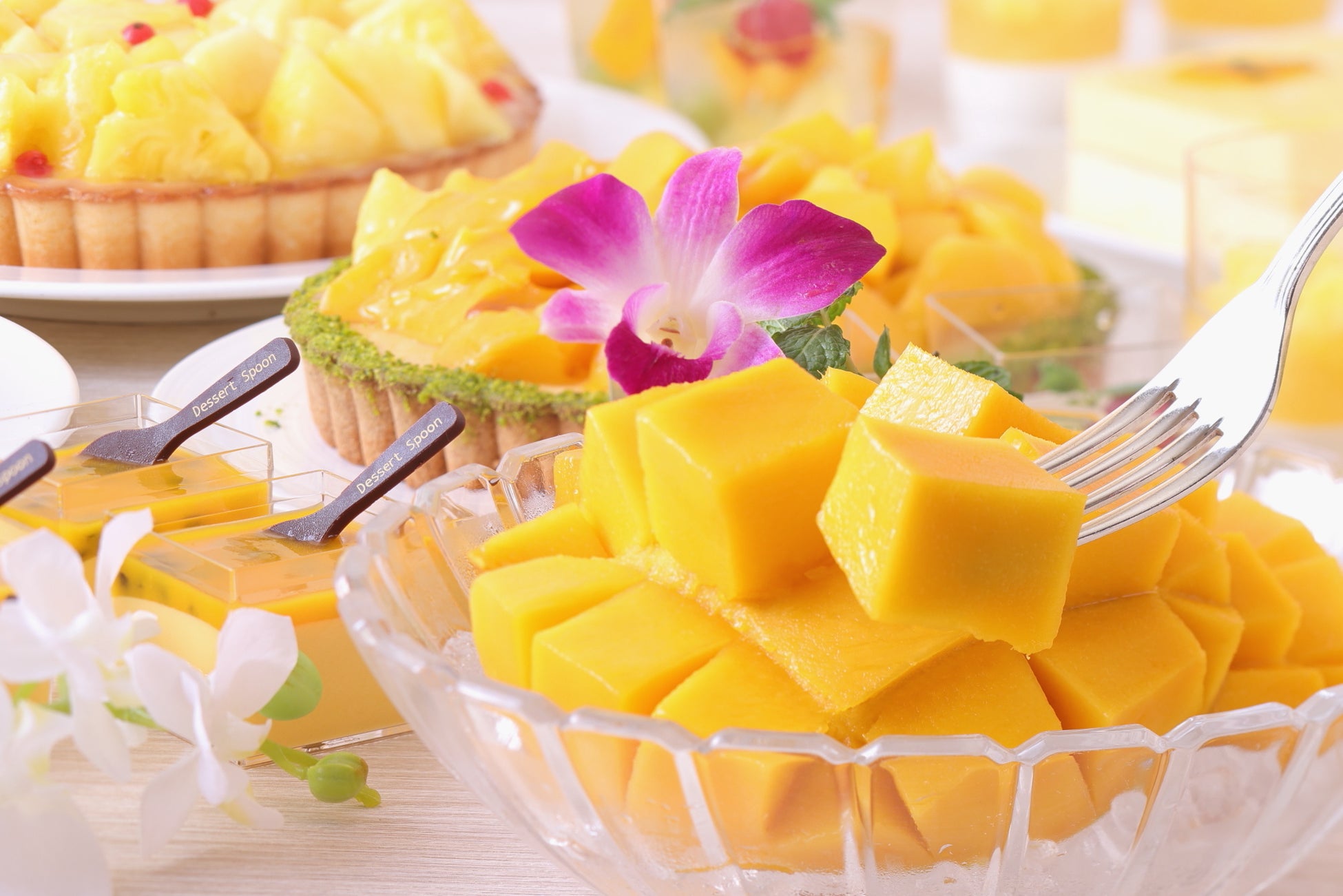 ホテルグランヴィア京都 トロピカルスイーツバイキング 開催のお知らせ Jr西日本ホテルズのプレスリリース ホテルグランヴィア京都 トロピカルスイーツバイキング 開催のお知らせ Jr西日本ホテルズのプレスリリース