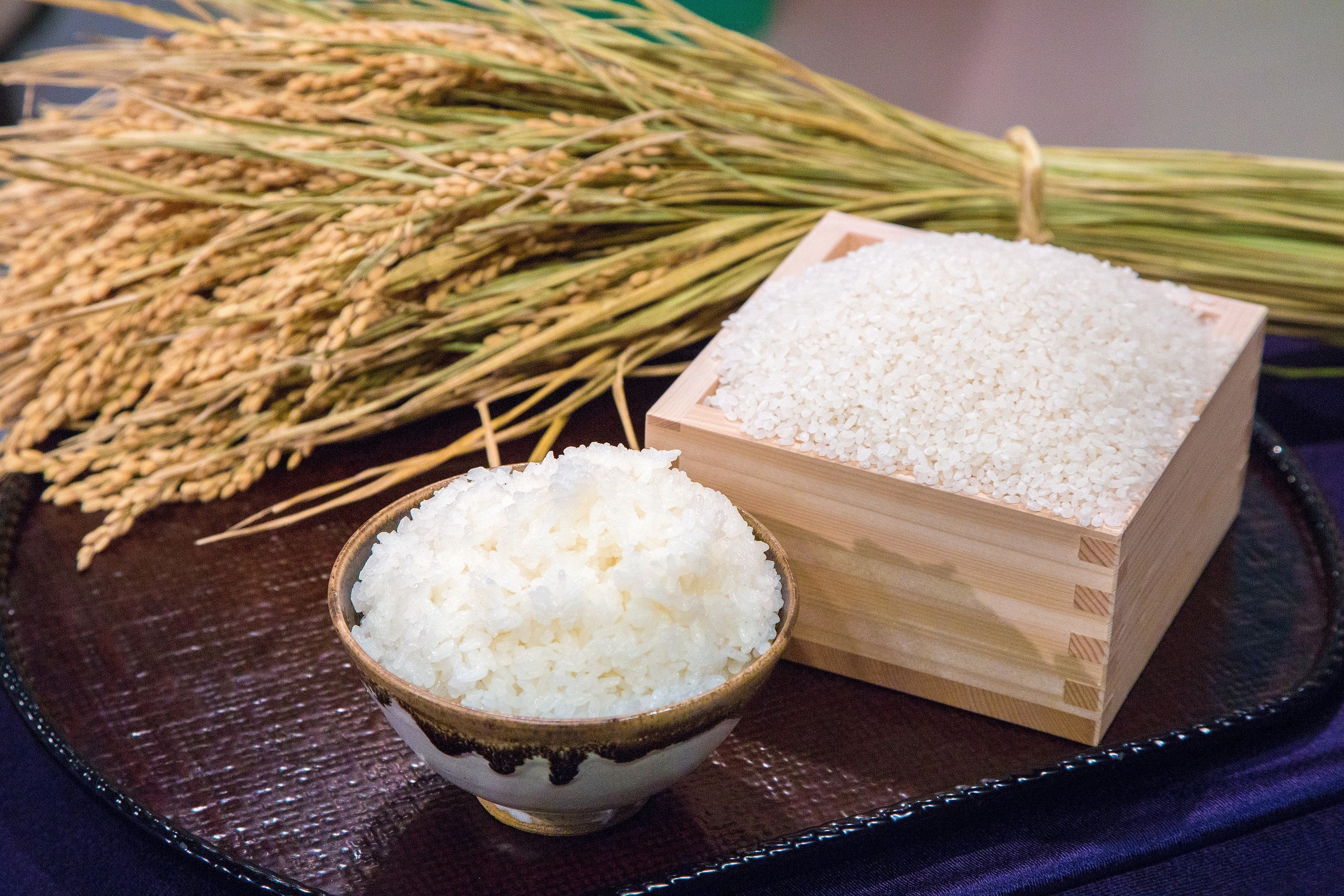 福井県のブランド米「いちほまれ」イメージ