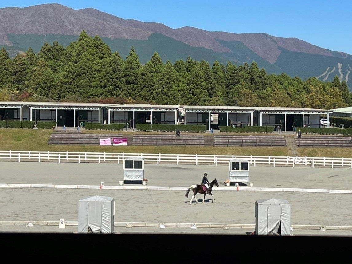大会観戦の様子