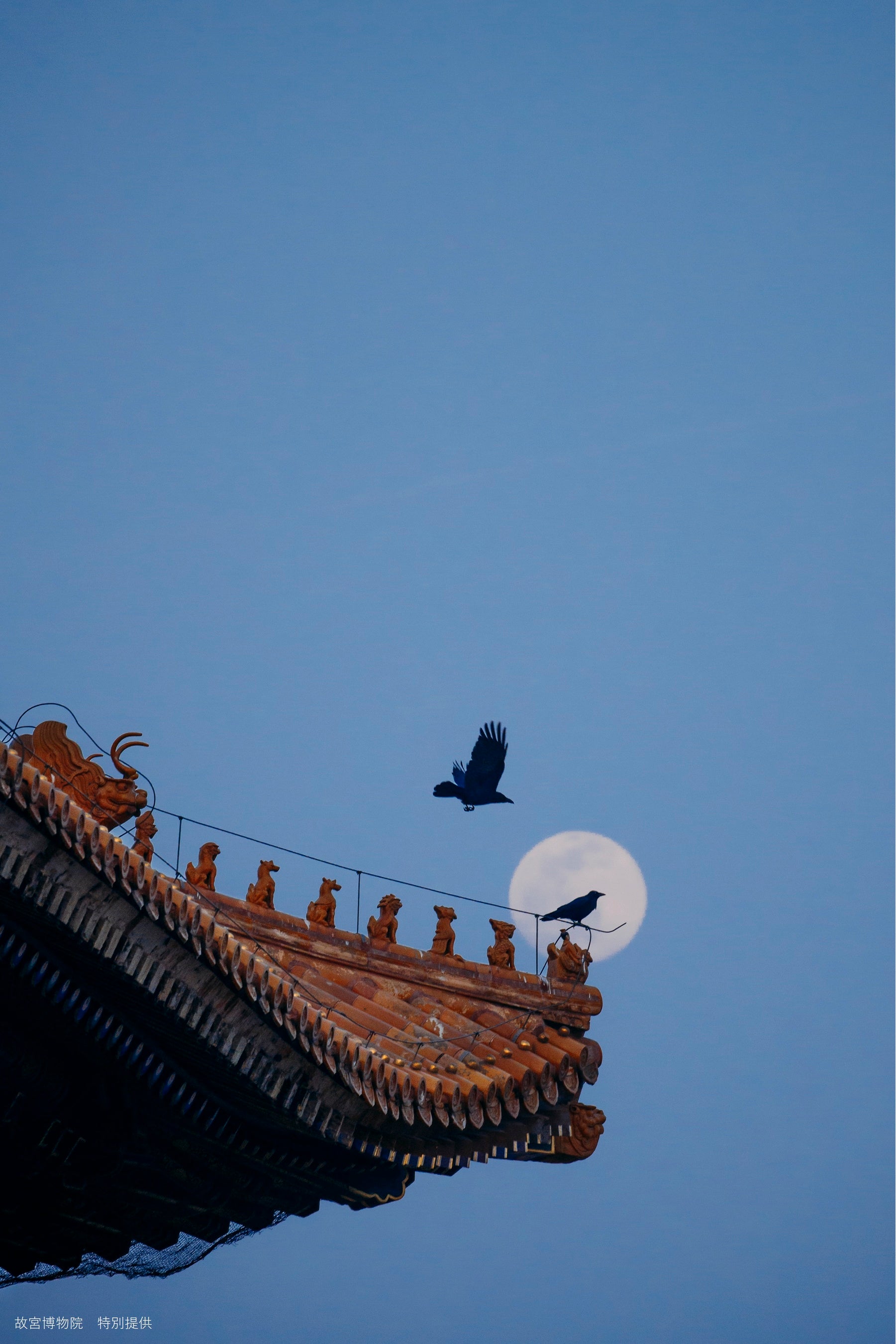 故宮写真「秋007」