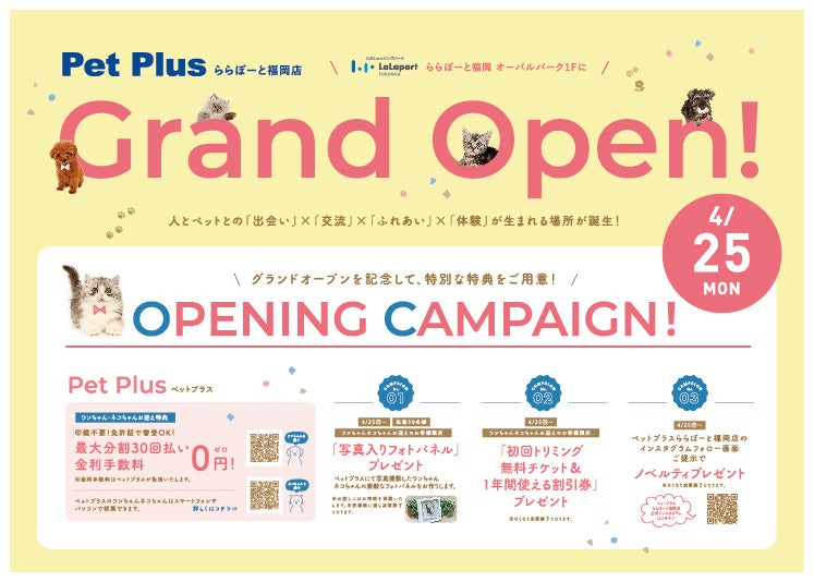 キャンペーン詳細