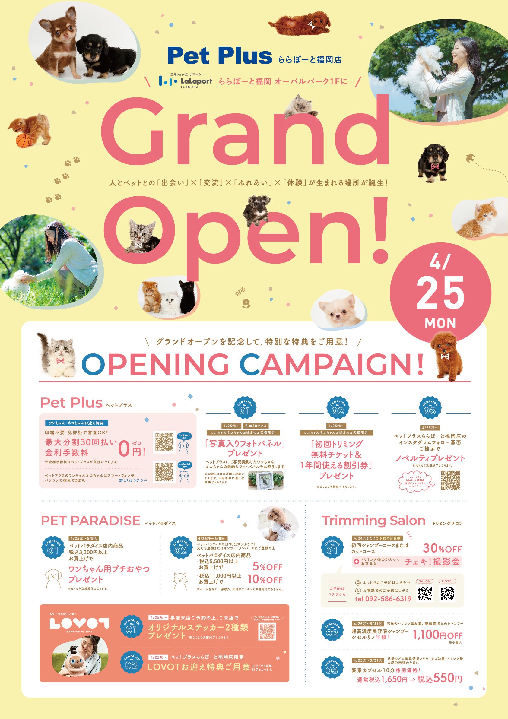 キャンペーン内容ポスター