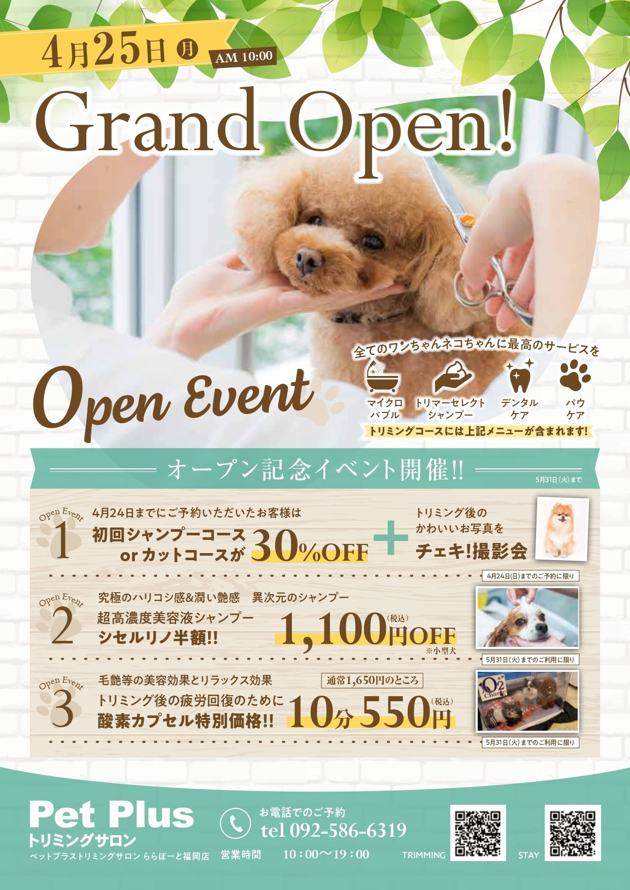 サロンキャンペーン