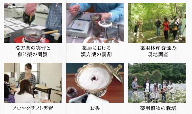 実習（フルコース）