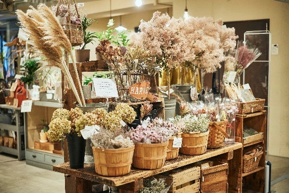 化学肥料不使用のドライフラワー