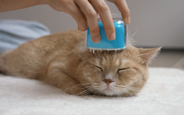猫ちゃんの為のグルーミングブラシ　使用イメージ画像2
