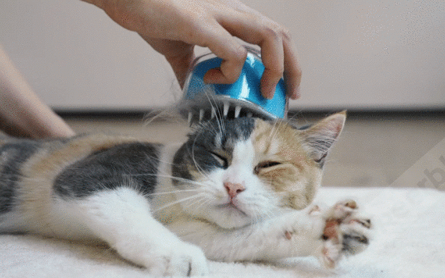 猫ちゃんの為のグルーミングブラシ　使用イメージ画像1