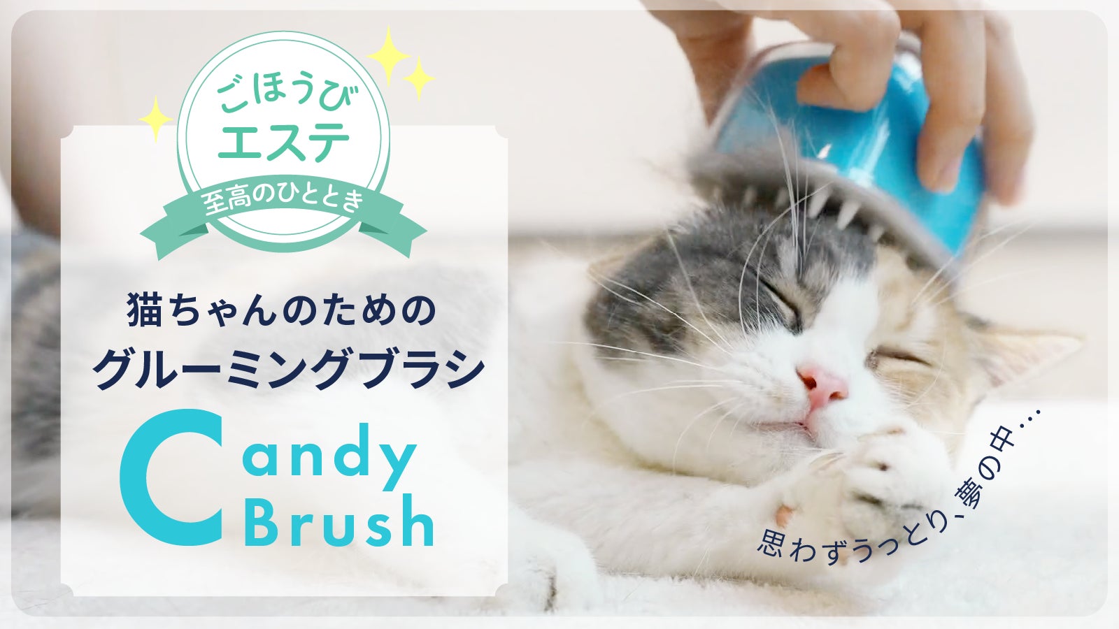 猫ちゃんへの至高のご褒美 夢見ごこちの極上エステブラシ Candy Brush がmakuakeにて先行販売開始 株式会社モクレンのプレスリリース 猫ちゃんへの至高のご褒美 夢見ごこちの極上エステブラシ Candy Brush がmakuakeにて先行販売開始 株式会社モクレンのプレスリリース