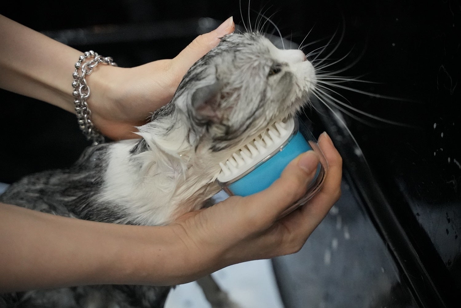 猫ちゃんの為のグルーミングブラシ　使用イメージ画像6