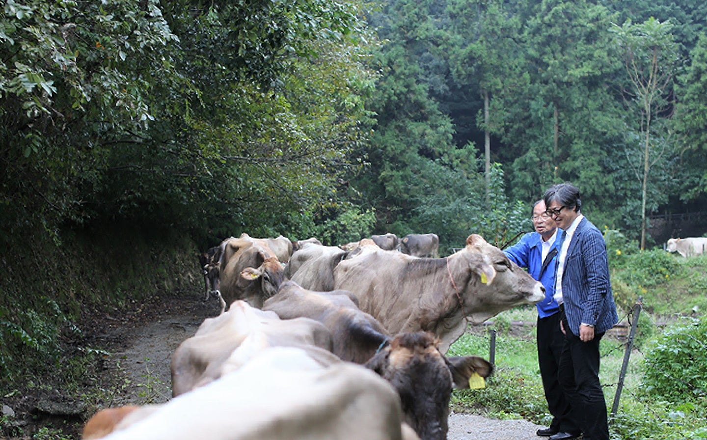 産地訪問風景①