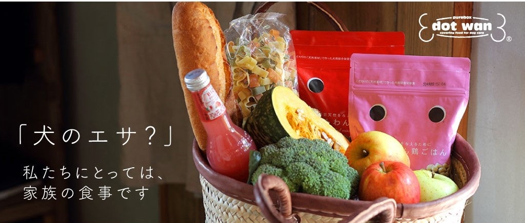 「ドットわん」について