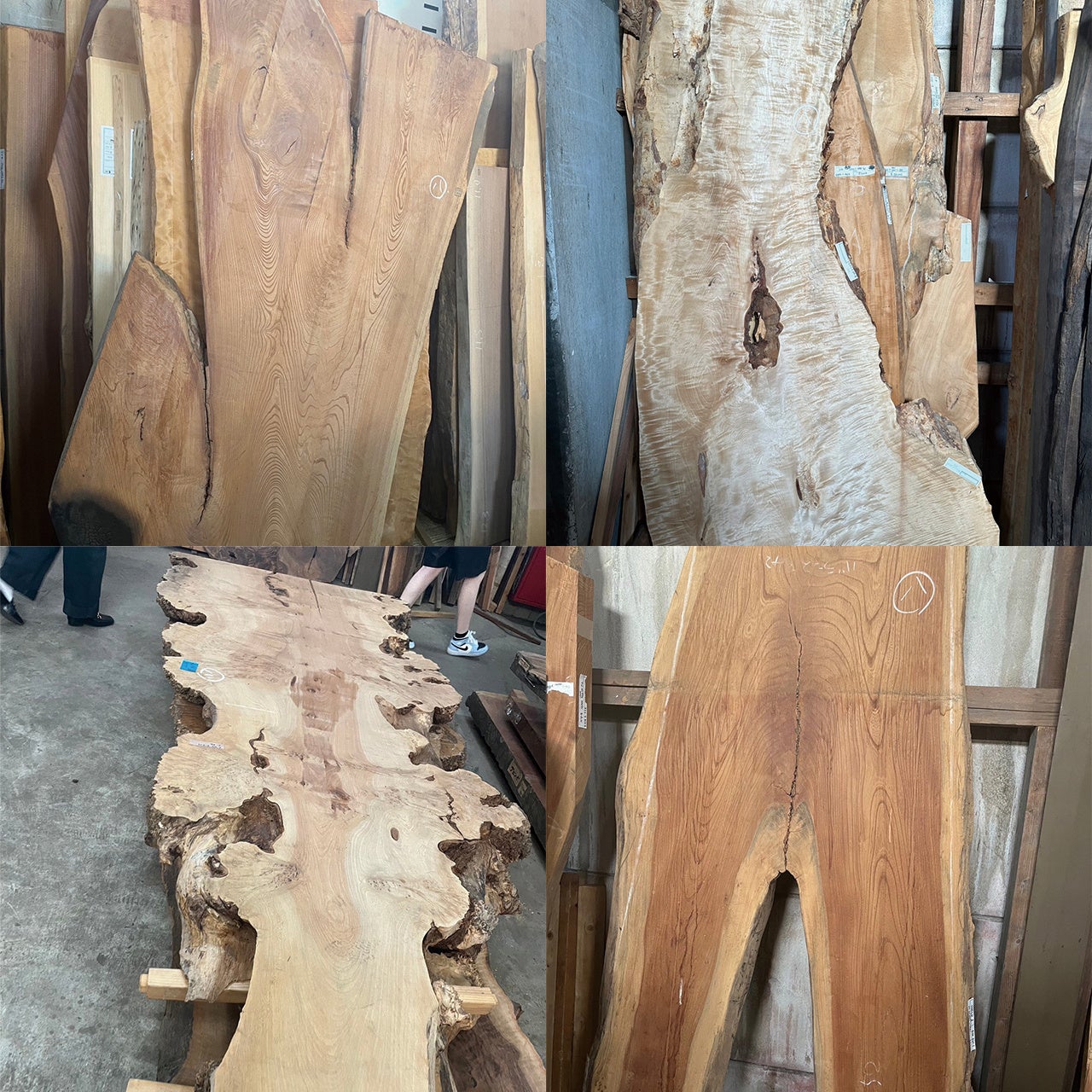 でこぼこ卓球台になる予定の「Nature Design」な一枚板たち