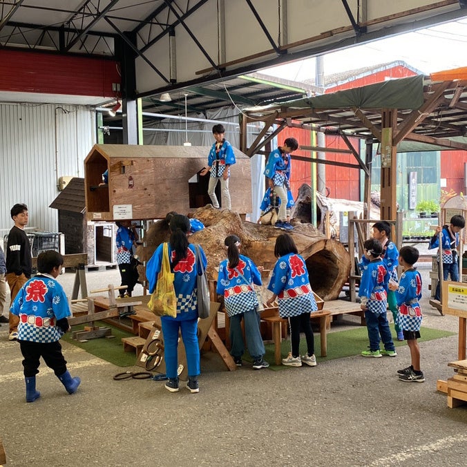 空洞木の遊び場