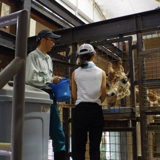 【徳島市】とくしま動物園 STELLA PRESCHOOL ANIMAL KINGDOM サマースクールを開催!! 【徳島市】とくしま動物園 STELLA PRESCHOOL ANIMAL KINGDOM サマースクールを開催!!