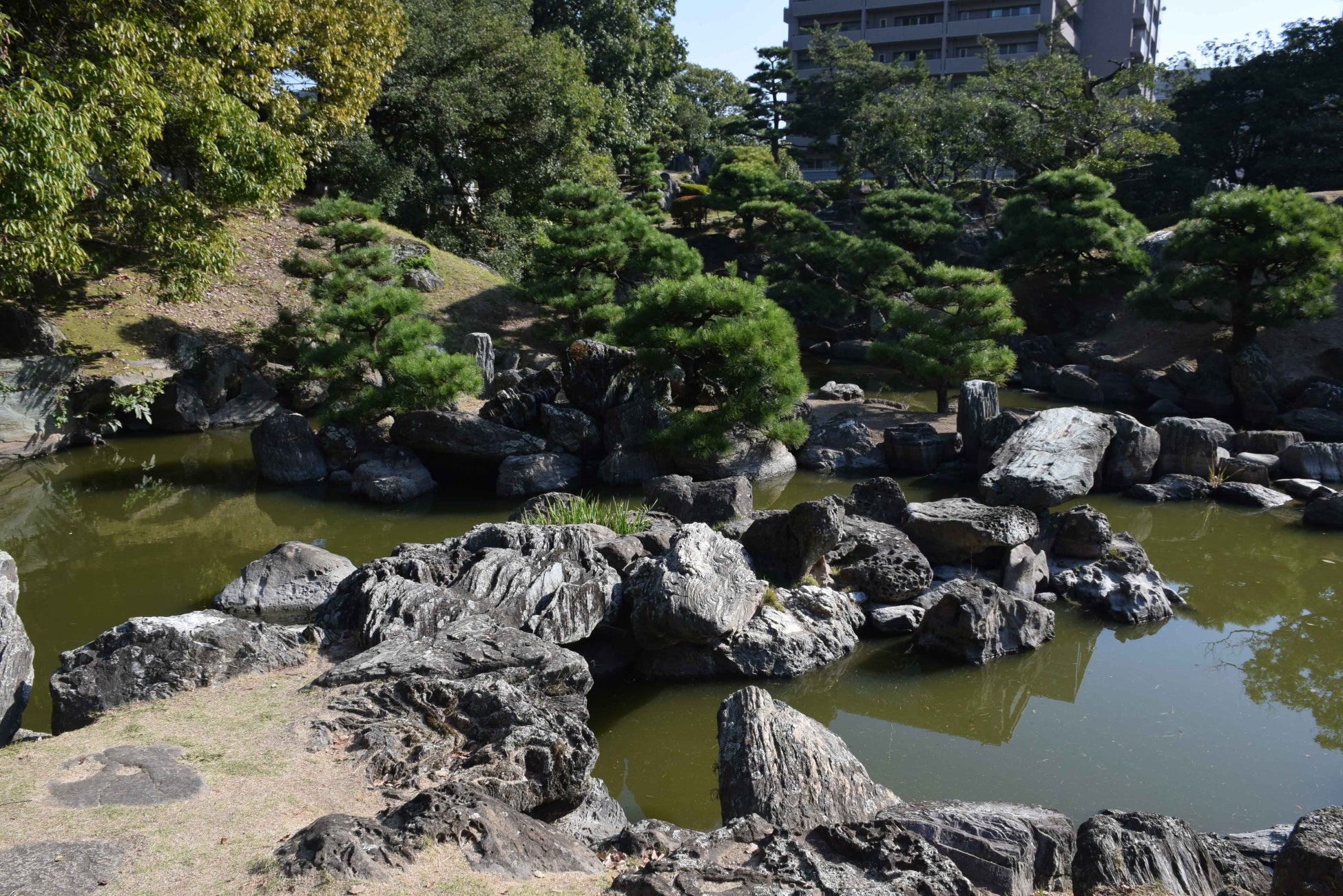 徳島市職員が制作した動画「徳島城博物館館長が案内する旧徳島城表御殿庭園」をYouTube徳島市公式チャンネルで公開！