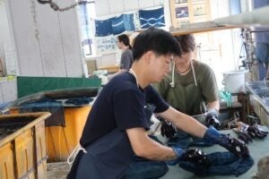 令和5年度徳島市ふるさとワーキングホリデー就労体験（藍染）