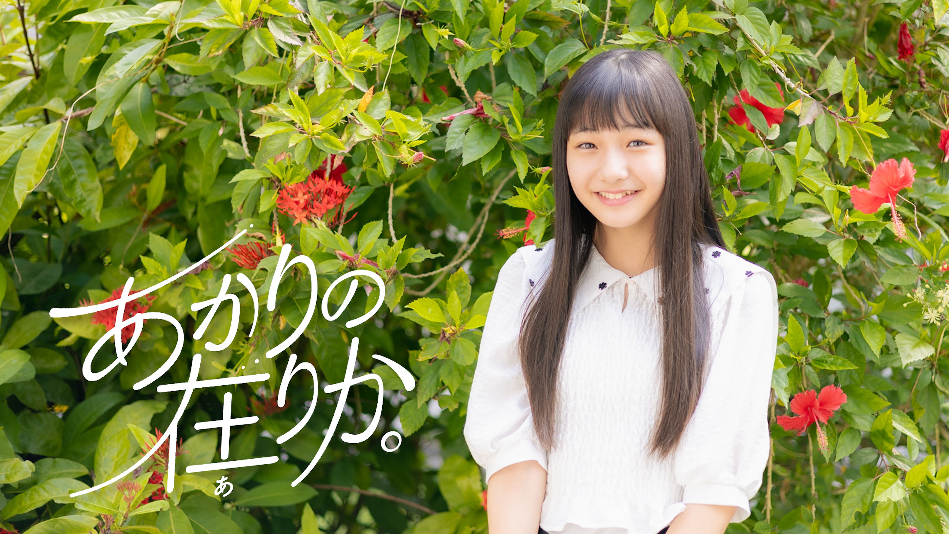 あかりの在りか。