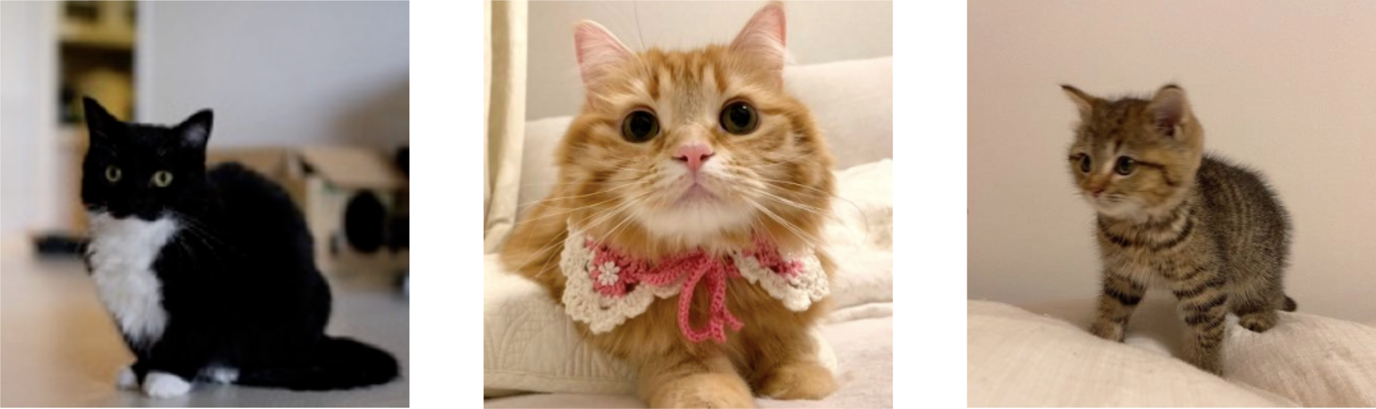 左から　うに、ちくわ、どんぐり