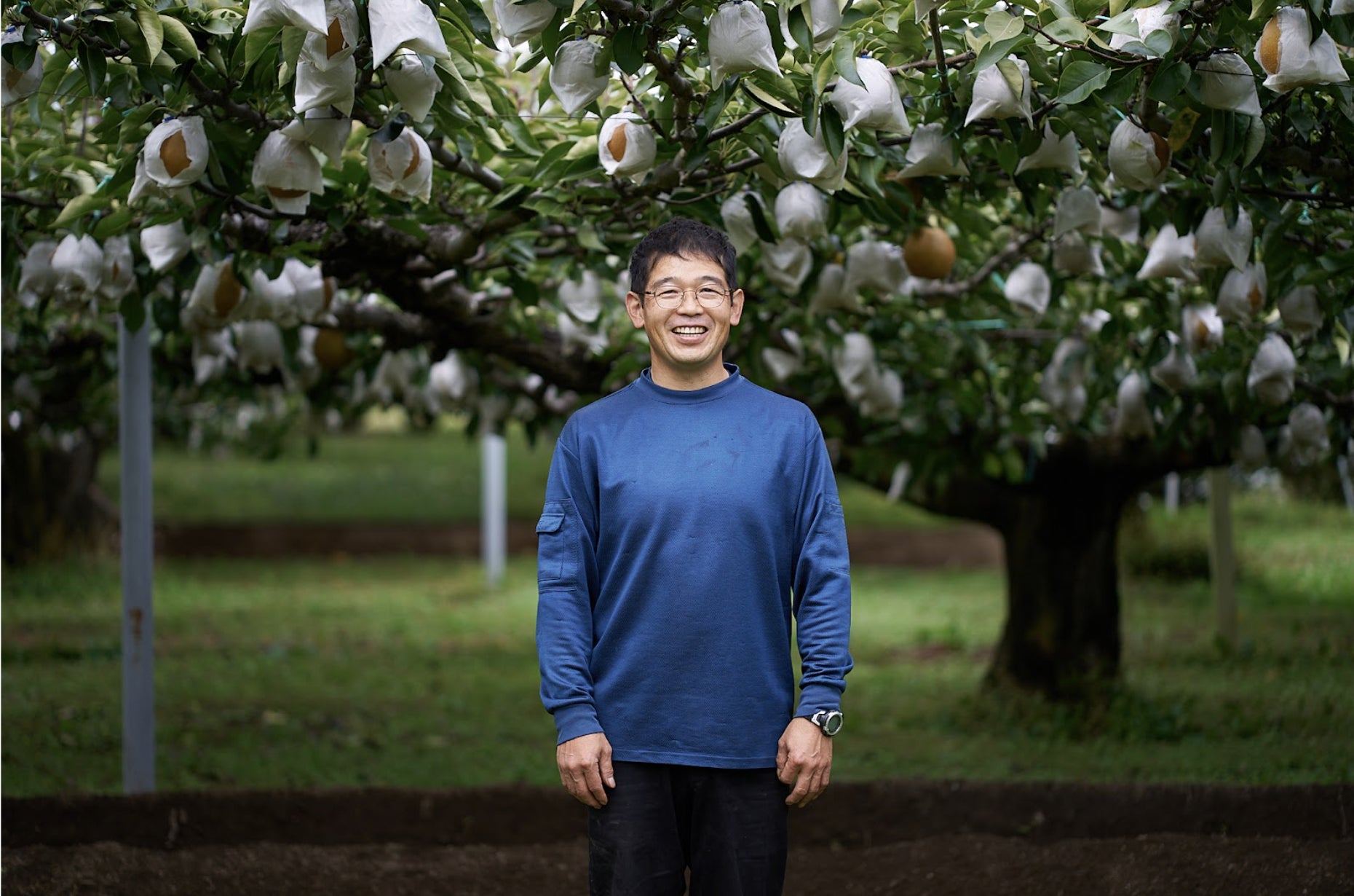 果樹園 馬目葉二氏