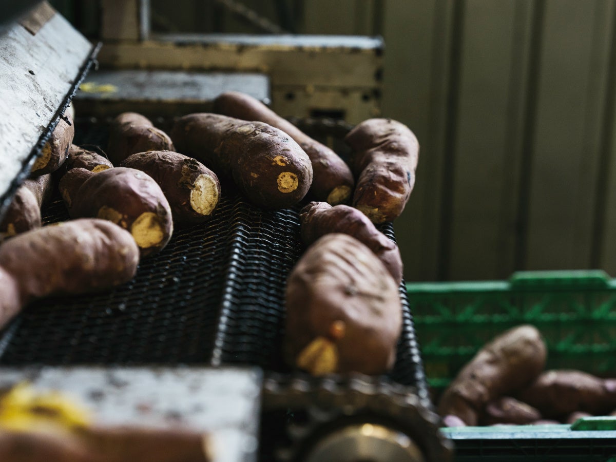 この秋、超高糖度な干し芋『じゅうにんおいも』が発売開始！タマチャン