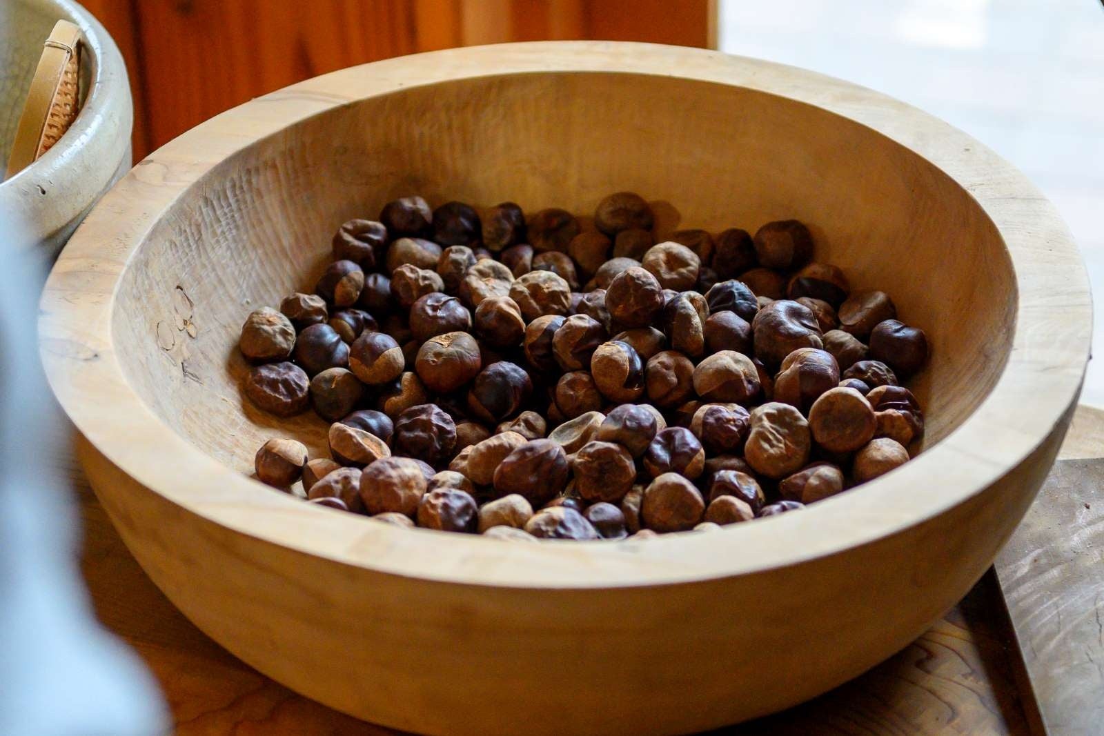 貴重な食料源だった栃の実