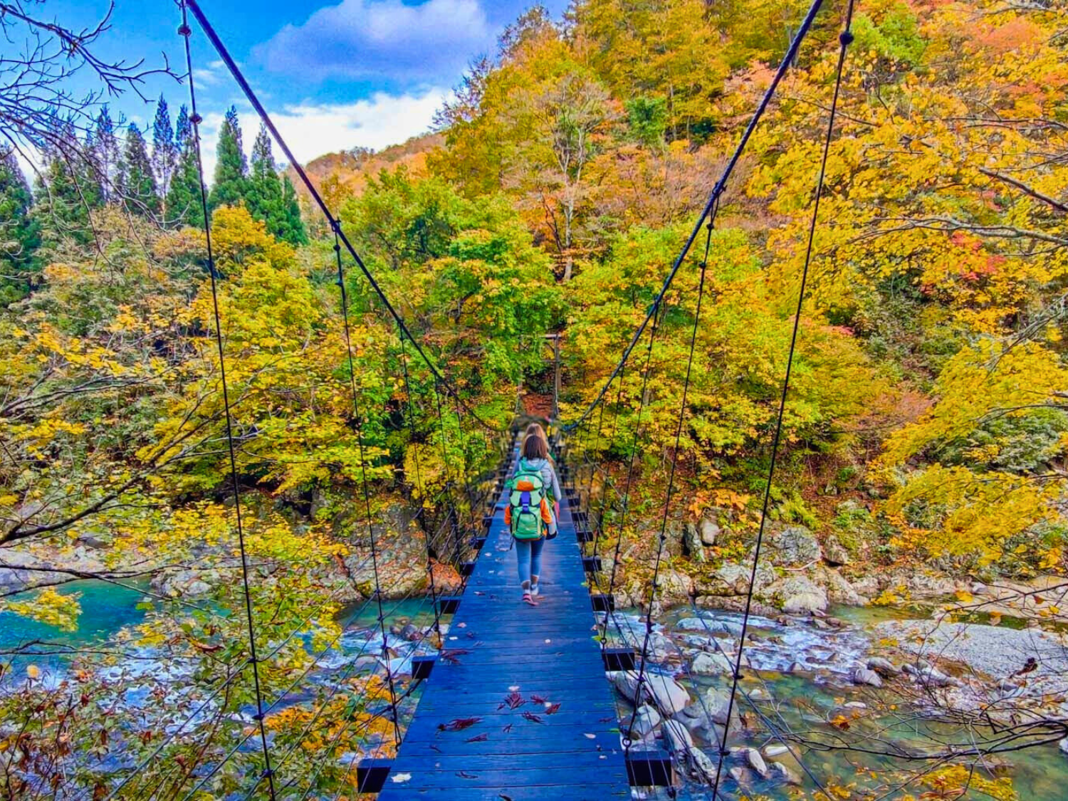 見倉橋では揺れるスリルと絶景が楽しめる