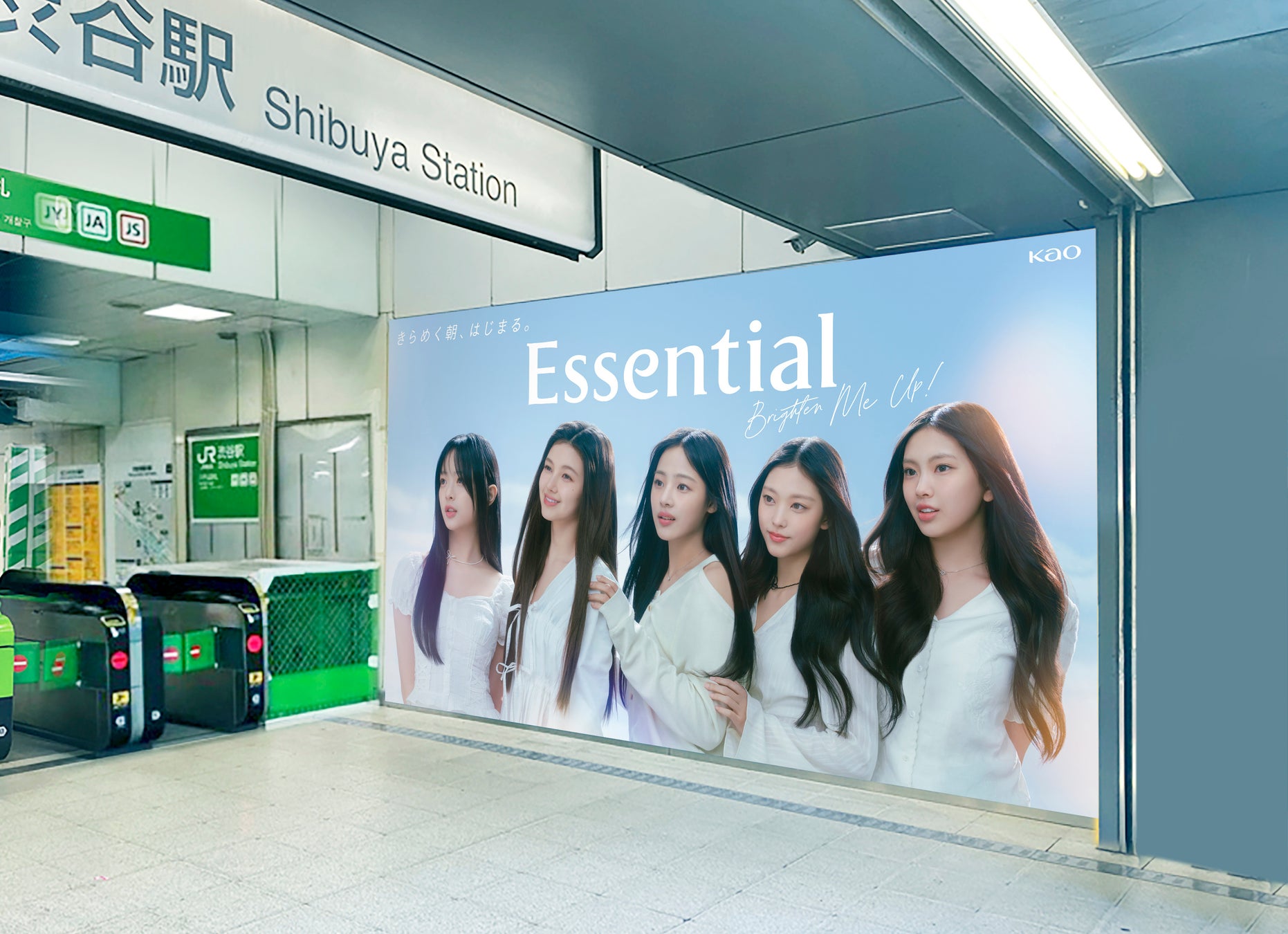 ※画像はイメージです。