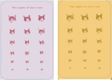 石井さんの3匹の愛猫「シャインズ」がデザインされた視力表風の専用メガネ拭き。色はピンクとゴールドの2色をご用意しました。どちらの色になるかは購入後のお楽しみです。