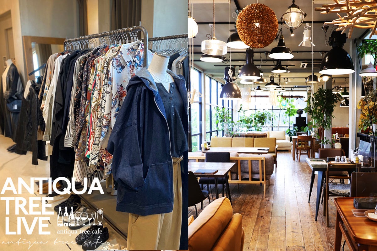 新進気鋭のアーティスト２組が出演 アパレルブランド アーティスト カフェのコラボライブイベント Antiqua Tree Live 5月7日 土 開催 追記 4 19公演時間を変更いたしました 株式会社antiquaのプレスリリース