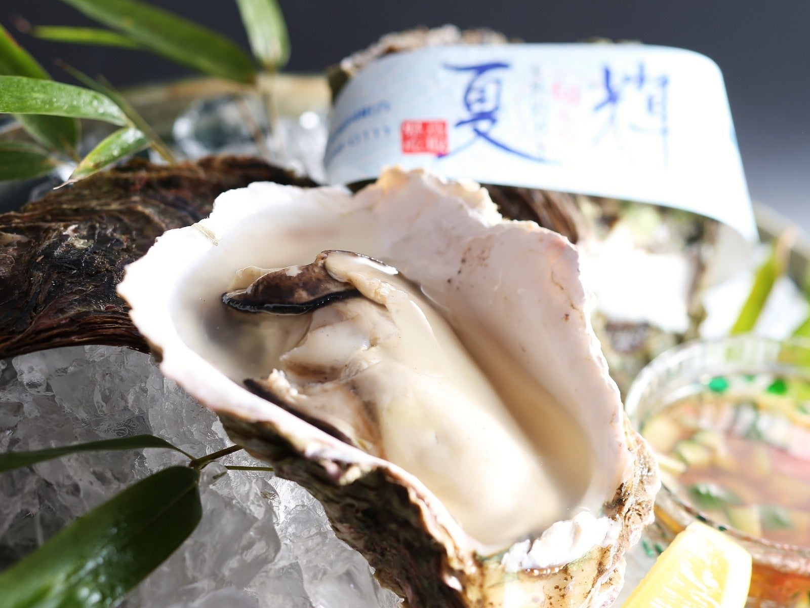 天然岩ガキ「夏輝」（夏）