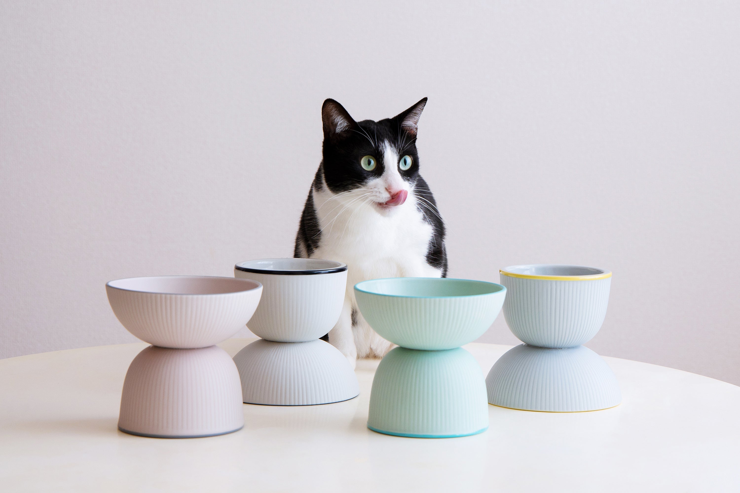人気商品❣️猫のイラスト　フードボウル 　猫　犬　丈夫な陶器 人気商品❣️猫のイラスト フードボウル 猫 犬 丈夫な陶器