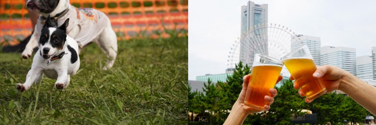 会場イメージ※過去開催の様子