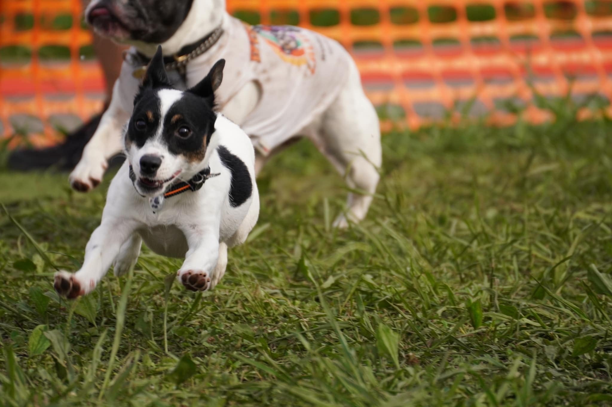 会場イメージ※過去開催の様子