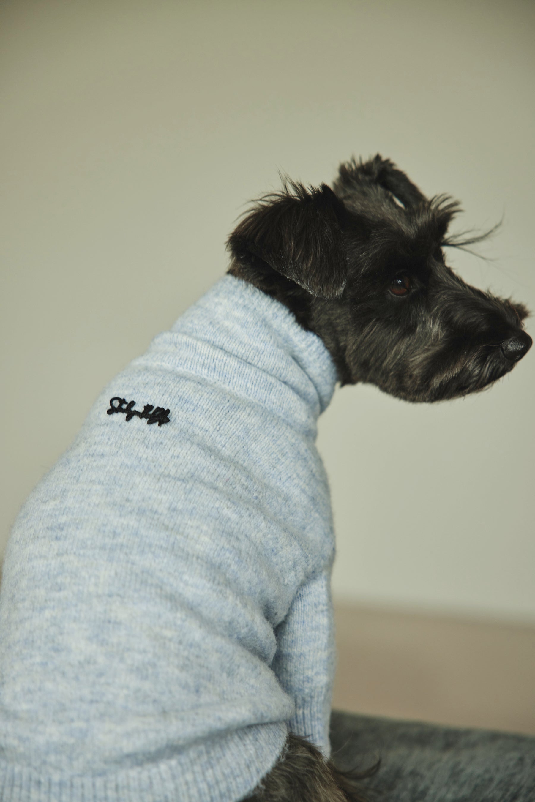 STANDING ON THE BLUE