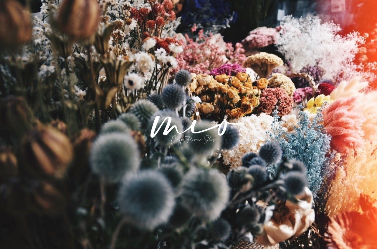 mioDryFlowerShop