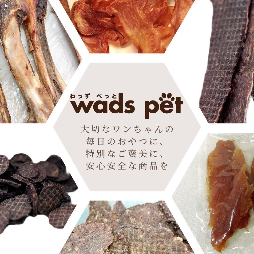 wads pet（わっずぺっと）