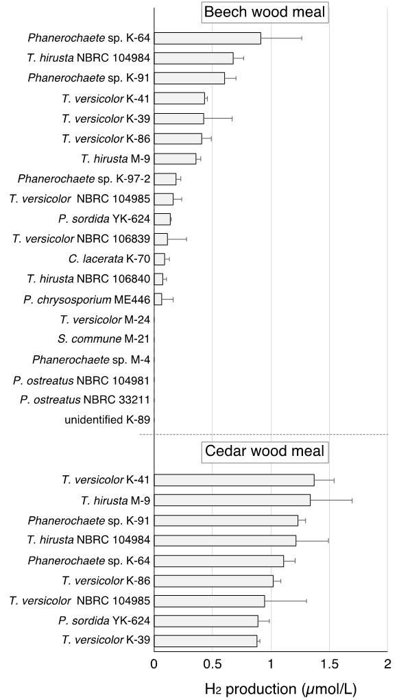 図1　各種白色腐朽菌による水素産生（培養14日間）