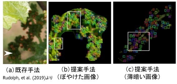 図３．高精度な花の検出結果（ステップ２）